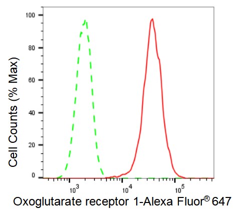 OXGR1/GPR80/P2Y15 Antibody (23GB4575)