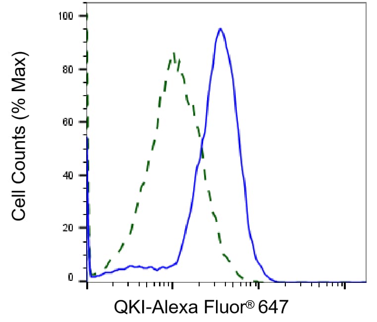 QKI/Quaking Antibody (23GB4595)