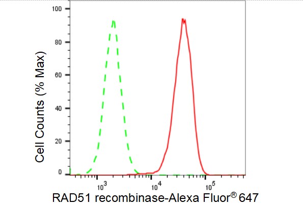 Rad51 Antibody (23GB4600)