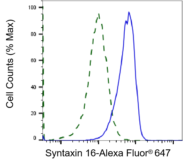 Syntaxin 16 Antibody (23GB4655)