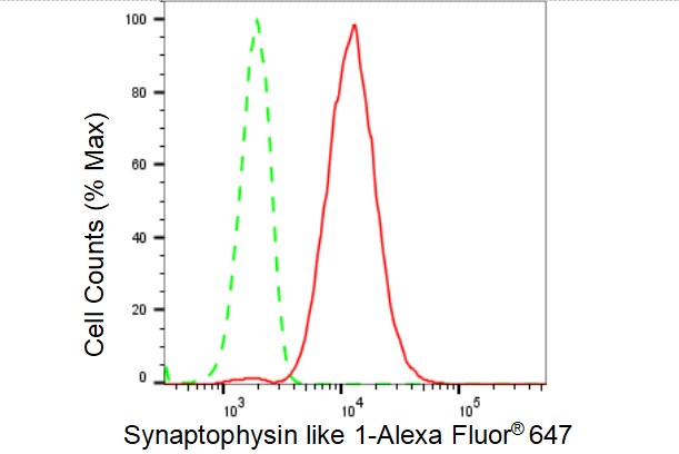 SYPL1 Antibody (23GB4675)