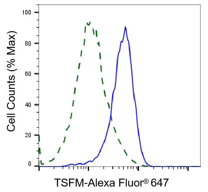 TSFM Antibody (23GB4710)