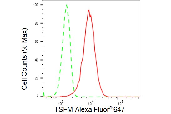 TSFM Antibody (23GB4710)
