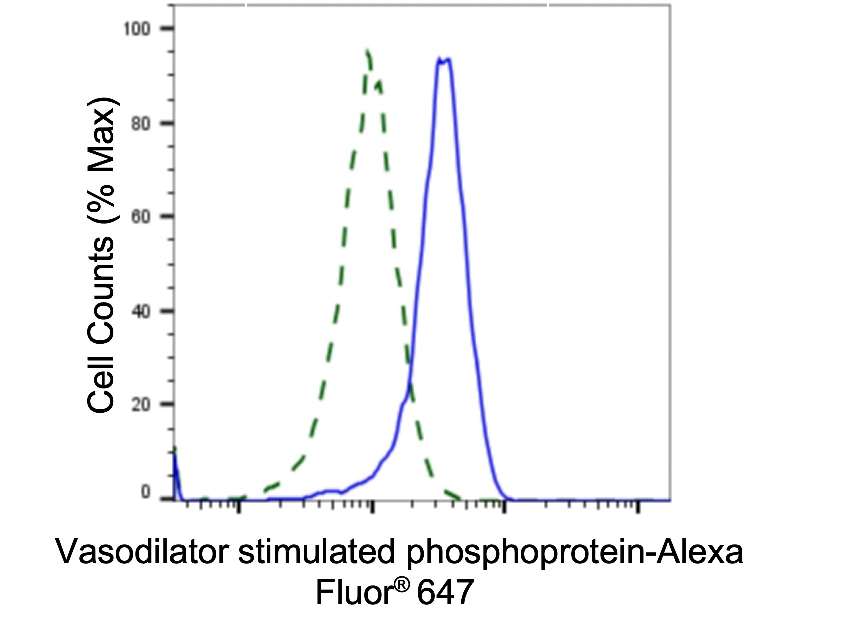 VASP Antibody (23GB4715)