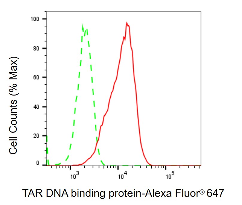 TDP-43/TARDBP Antibody (23GB4730)