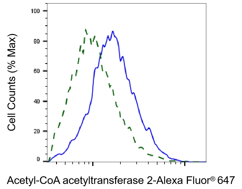 ACAT2 Antibody (23GB4745)