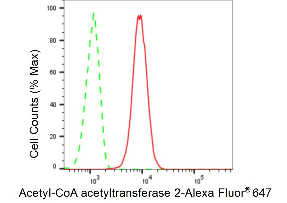 ACAT2 Antibody (23GB4745)