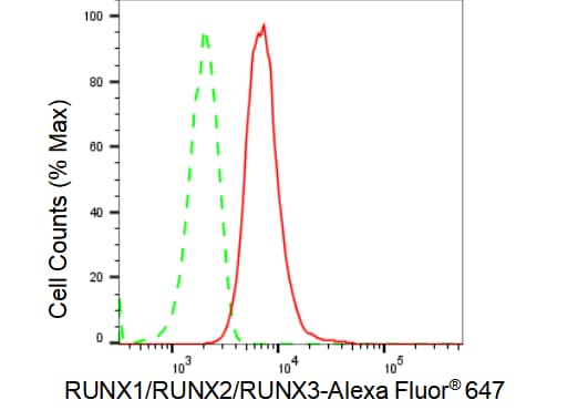 RUNX1/2/3 Antibody (23GB4800)