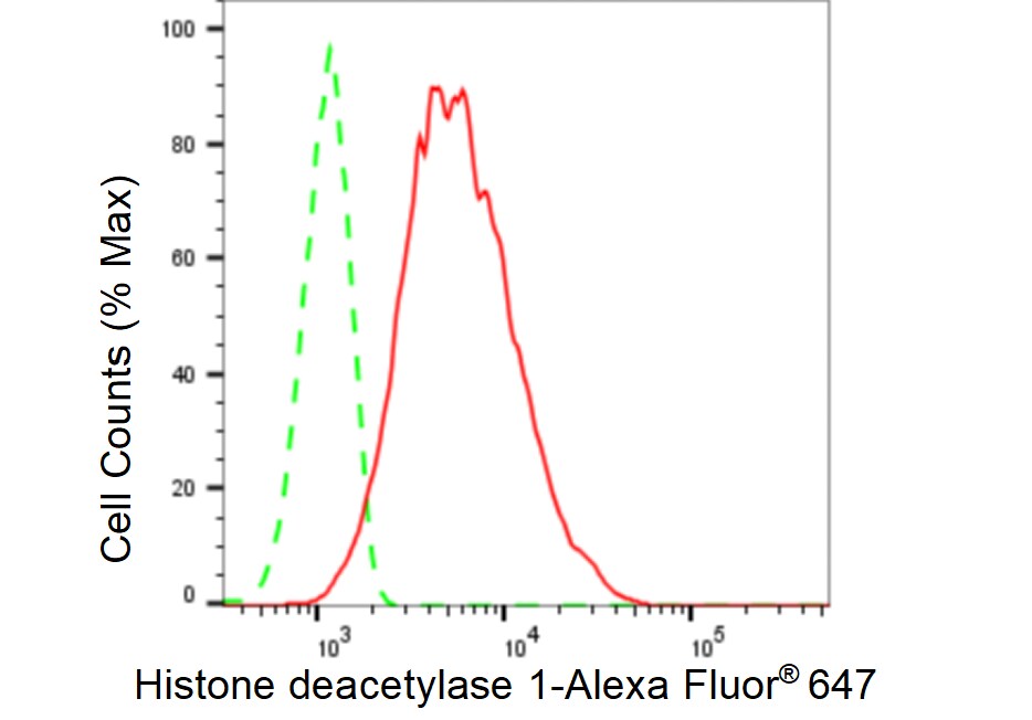 HDAC1 Antibody (23GB4785)