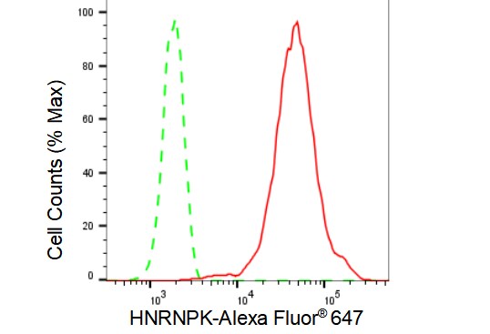 hnRNP K Antibody (23GB4825)