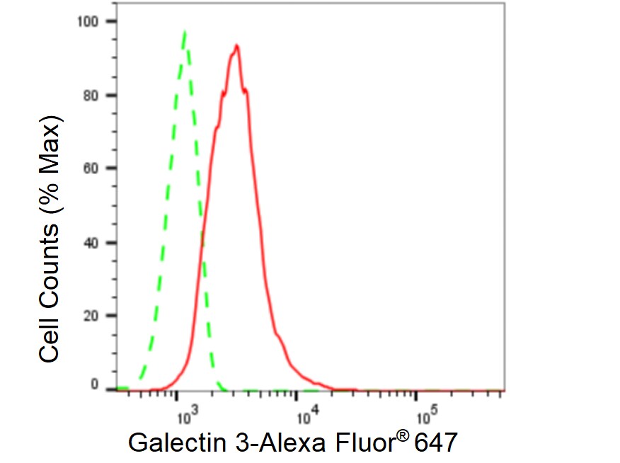 Galectin-3 Antibody (23GB4780)