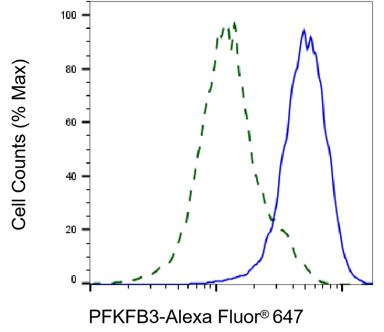 6 Phosphofructo 2 Kinase Antibody (23GB4880)