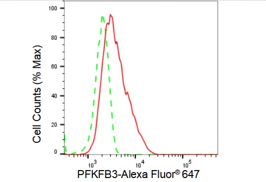 6 Phosphofructo 2 Kinase Antibody (23GB4880)