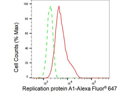 RPA70 Antibody (23GB4885)