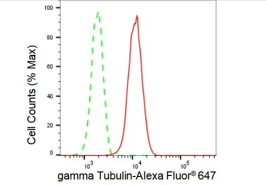 gamma Tubulin Antibody (23GB4805)