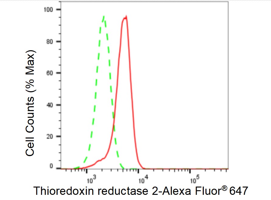 TXNRD2 Antibody (23GB4925)