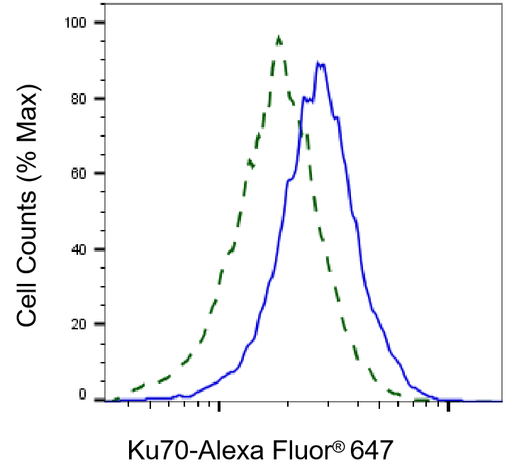 Ku70/XRCC6 Antibody (23GB4855)