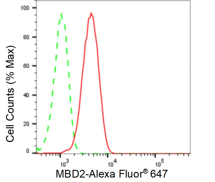 MBD2 Antibody (24GB460)