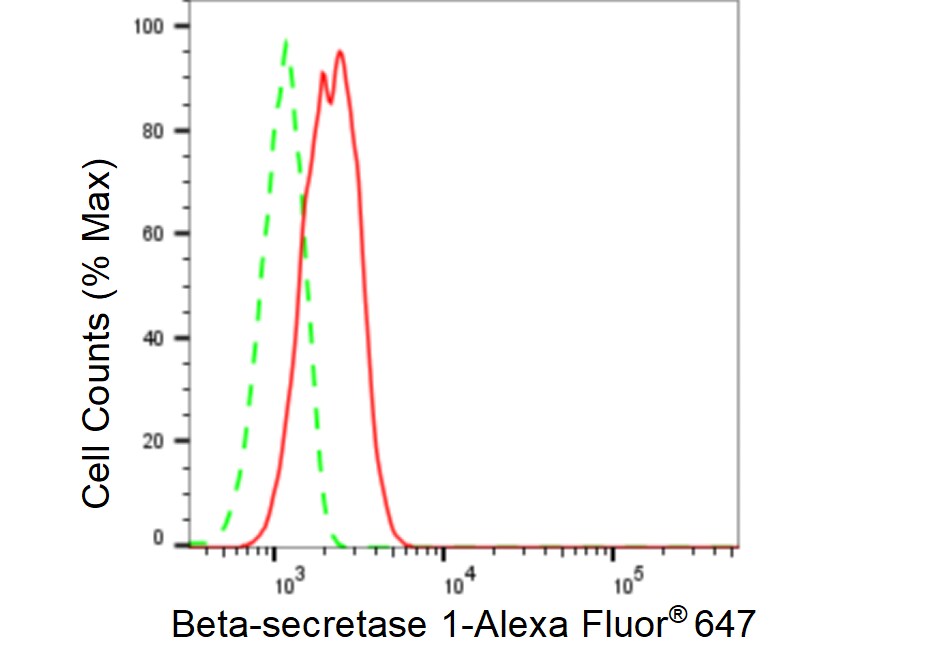 BACE-1 Antibody (23GB4865)