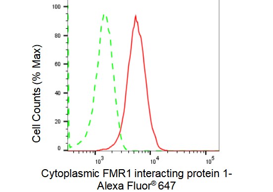 CYFIP1 Antibody (23GB1605)