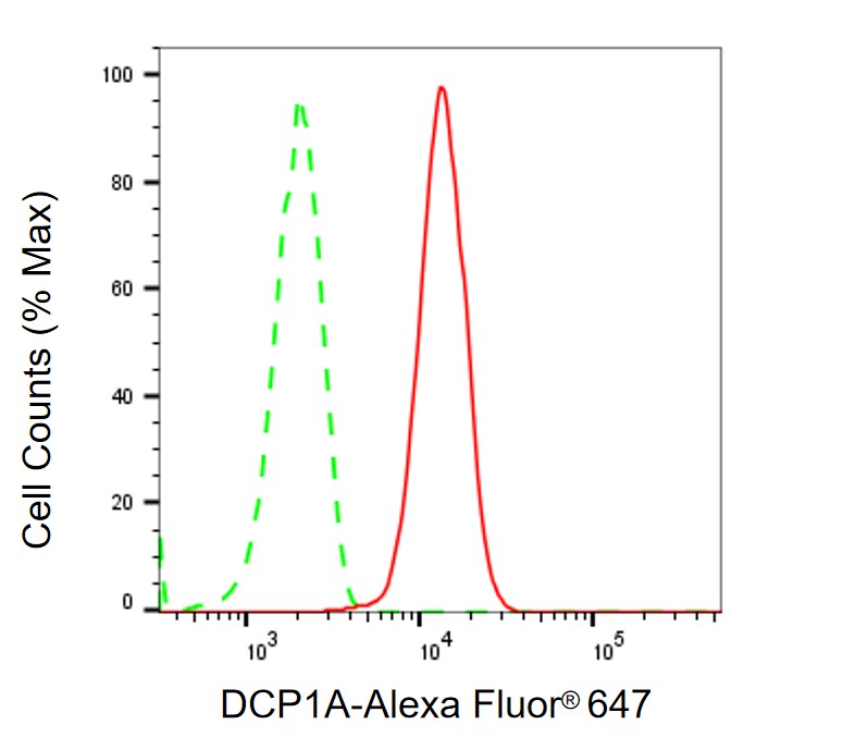 Dcp1a Antibody (23GB5150)