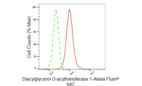 DGAT1 Antibody (23GB5155)