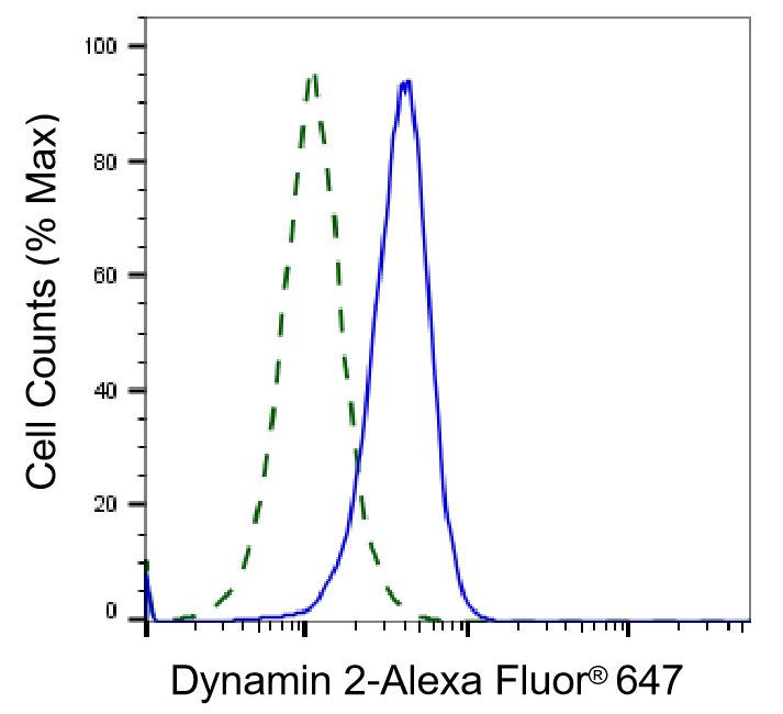Dynamin 2 Antibody (23GB5170)