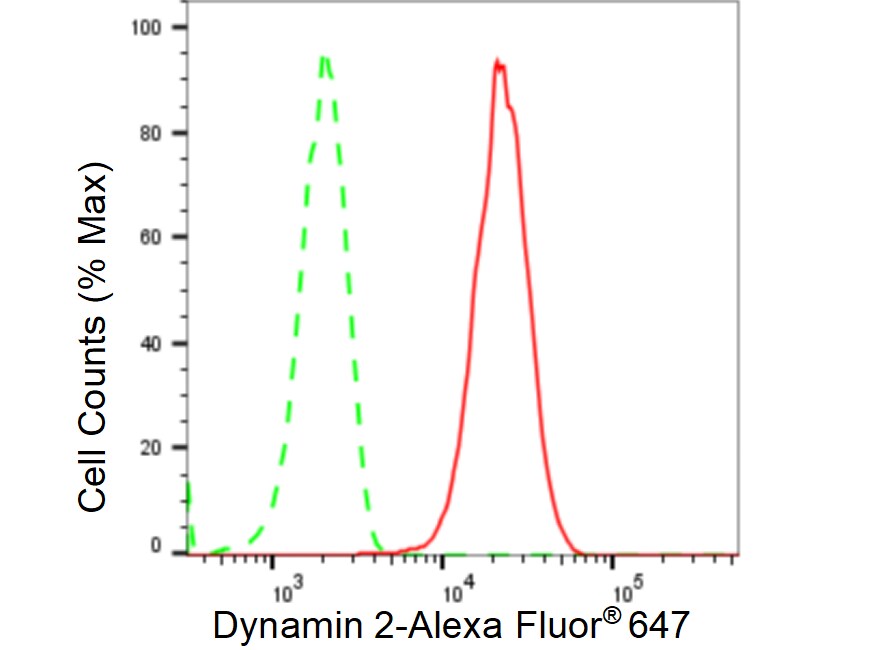 Dynamin 2 Antibody (23GB5170)