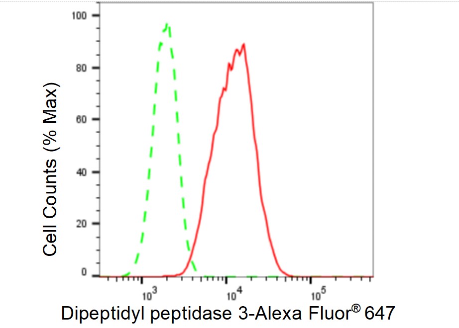 DPP3 Antibody (23GB5190)