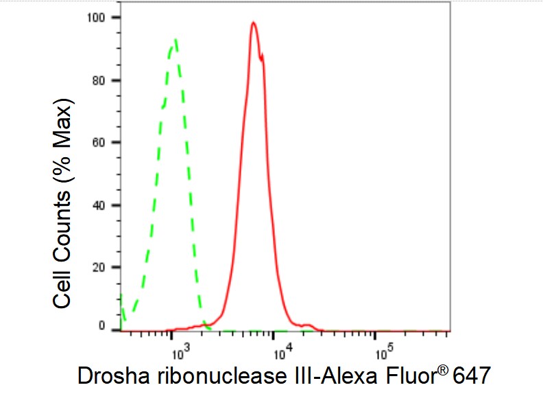 Drosha Antibody (23GB5205)