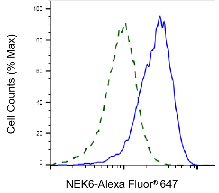 NEK6 Antibody (24GB755)
