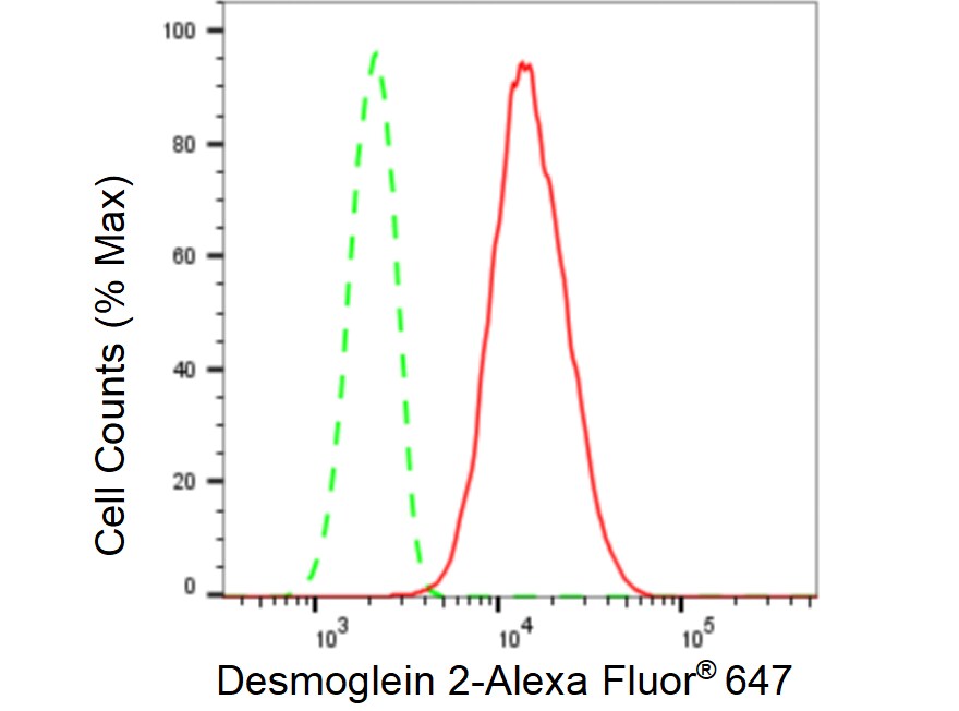 Desmoglein-2 Antibody (23GB5215)