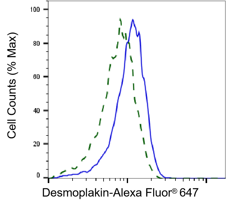 Desmoplakin Antibody (23GB5220)