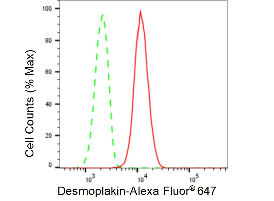 Desmoplakin Antibody (23GB5220)