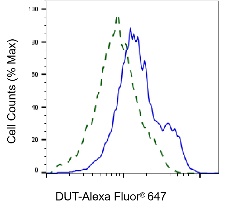 dUTPase Antibody (23GB5240)