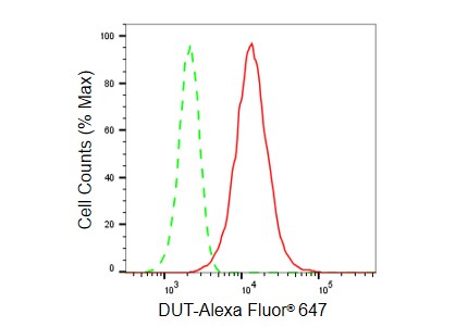 dUTPase Antibody (23GB5240)