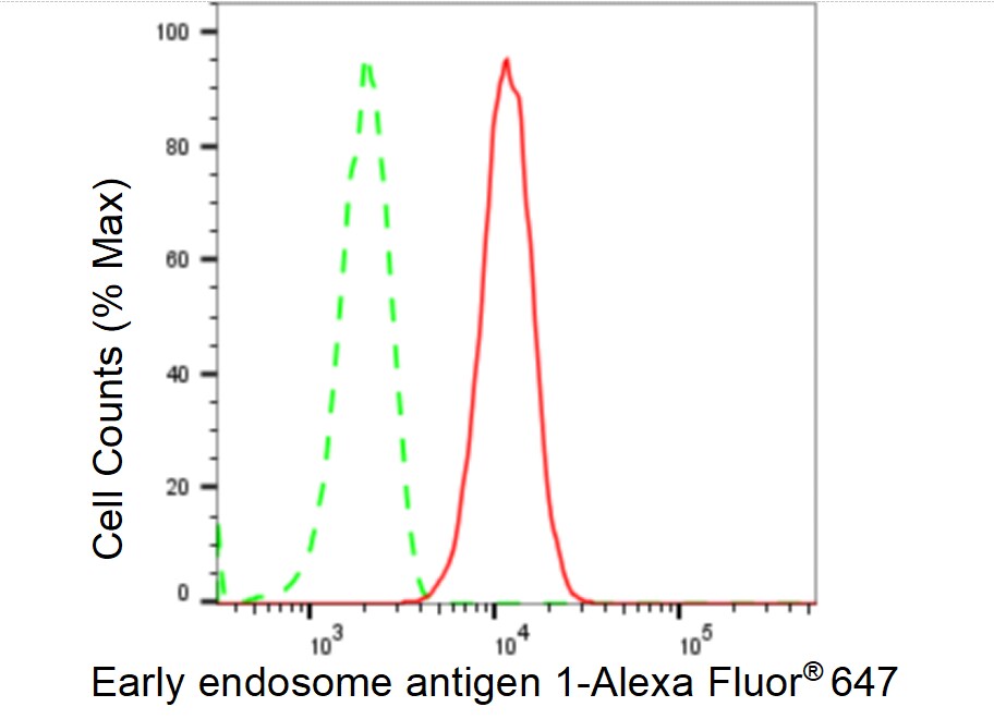 EEA1 Antibody (23GB5260)
