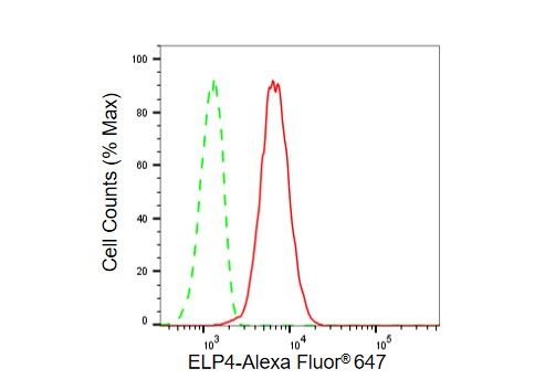 Elp4 Antibody (23GB5310)