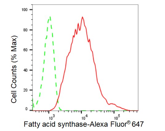 Fatty Acid Synthase/FASN Antibody (23GB5380)