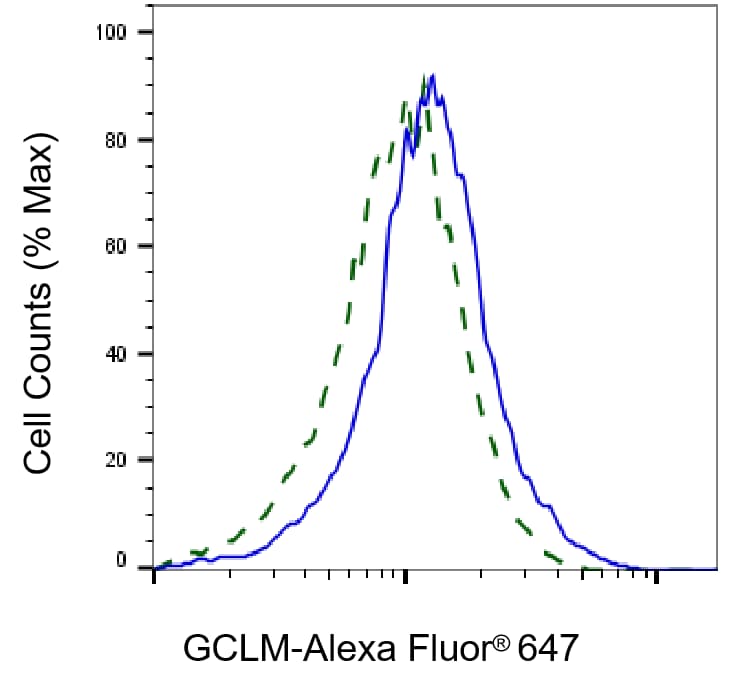 GCLM Antibody (23GB5535)