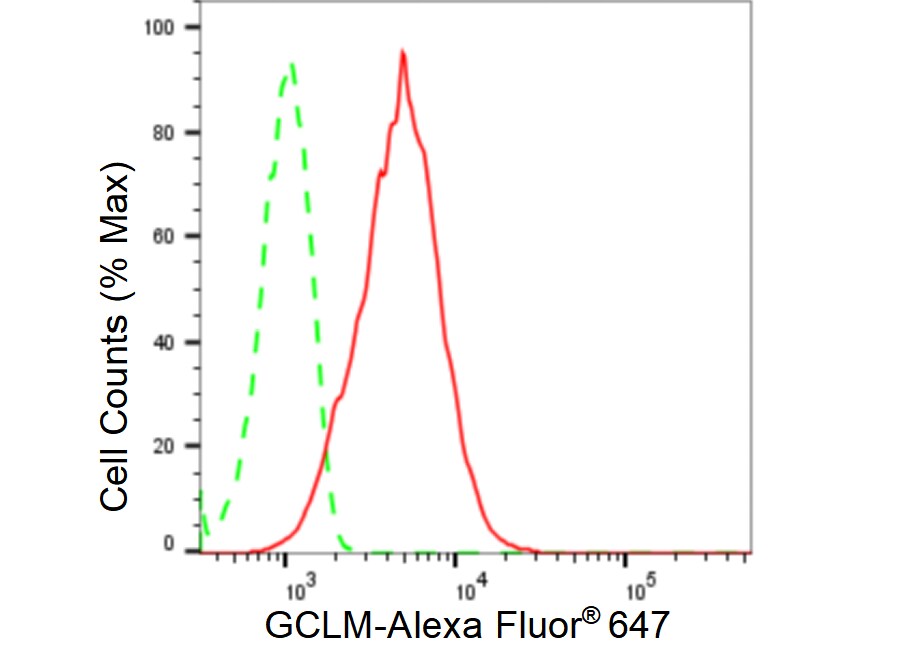 GCLM Antibody (23GB5535)