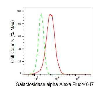 alpha-Galactosidase A/GLA Antibody (23GB5545)