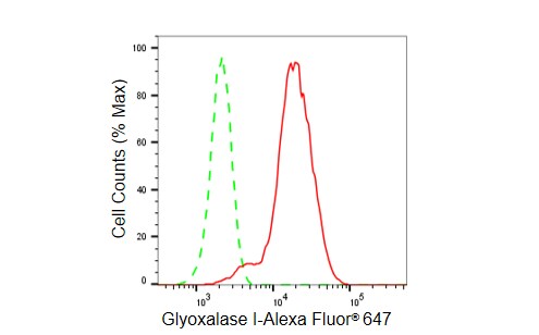 Glyoxalase I Antibody (23GB5555)