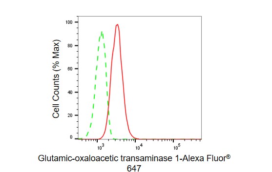 Aspartate Aminotransferase Antibody (23GB5585)