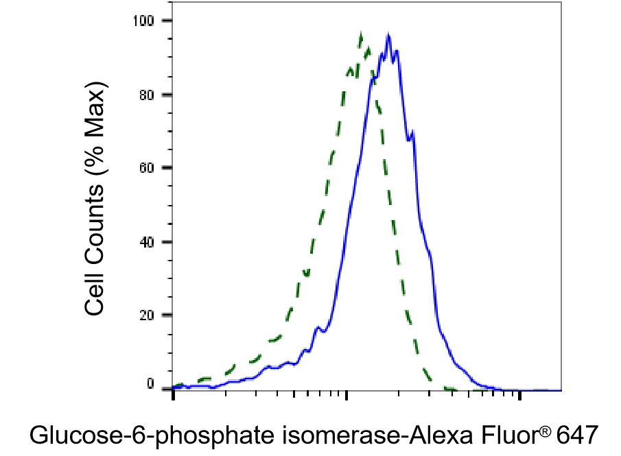 Glucose 6 phosphate isomerase Antibody (23GB5595)