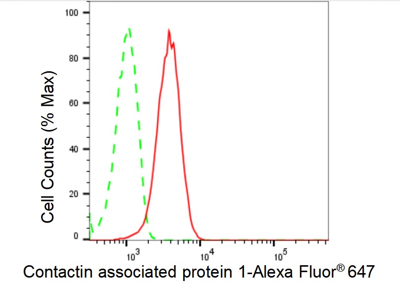 Caspr1 Antibody (23GB5605)