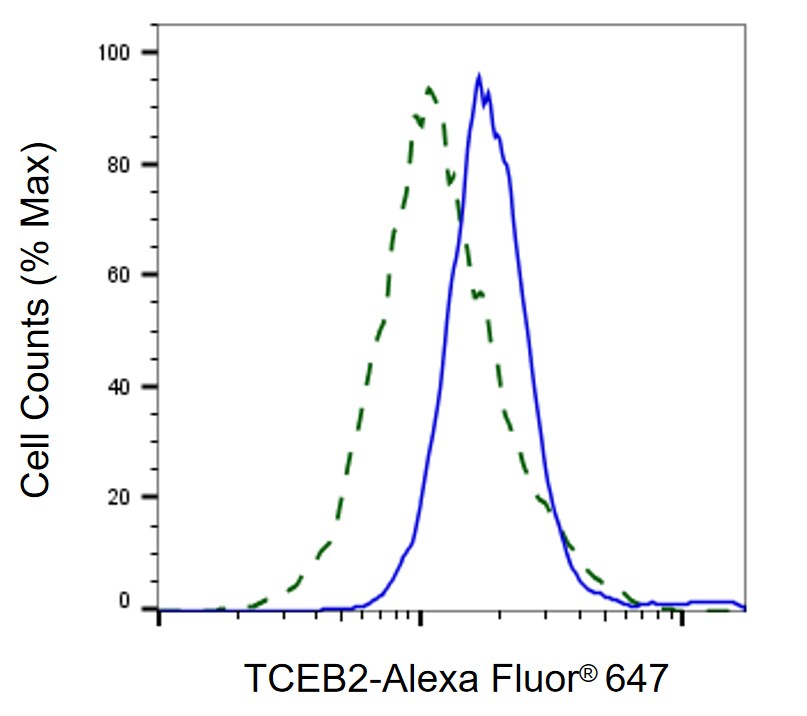 TCEB2 Antibody (23GB5610)