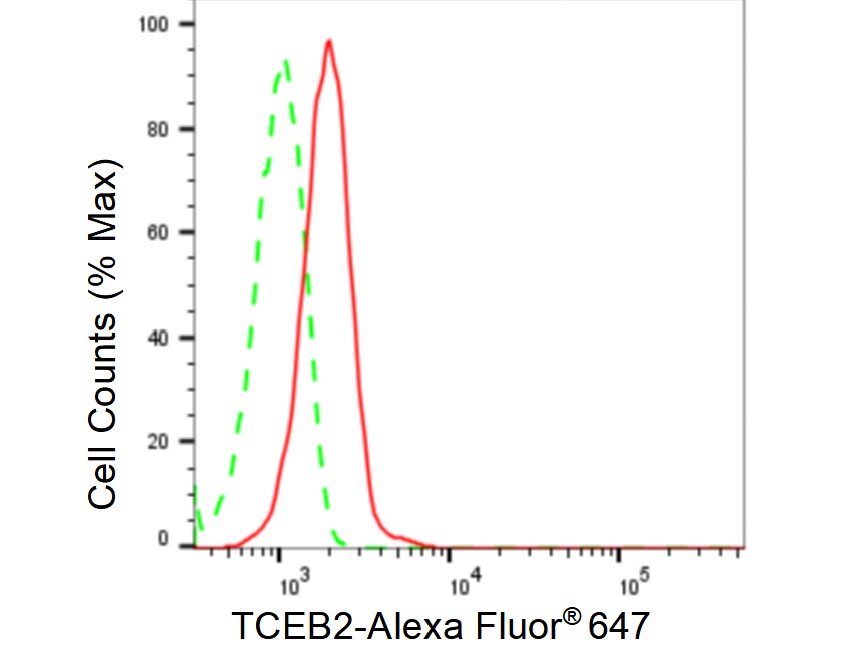 TCEB2 Antibody (23GB5610)