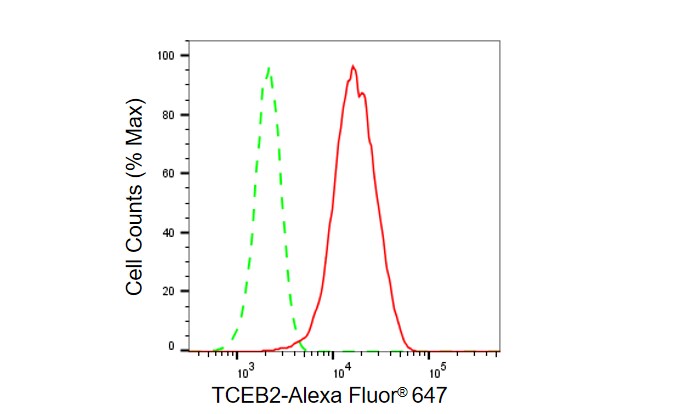 TCEB2 Antibody (23GB5615)