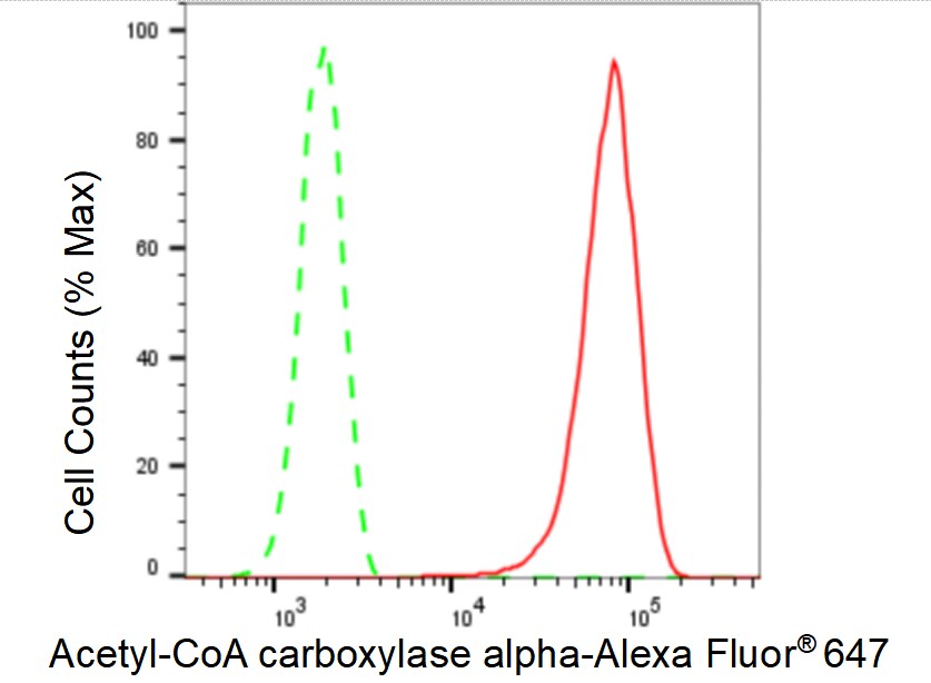 Acetyl-CoA Carboxylase alpha/ACACA Antibody (23GB5645)